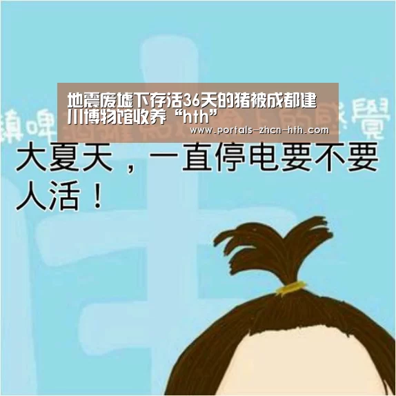地震废墟下存活36天的猪被成都建川博物馆收养“hth”(图1) 地震废墟下存活36天的猪被成都建川博物馆收养“hth”(图1)