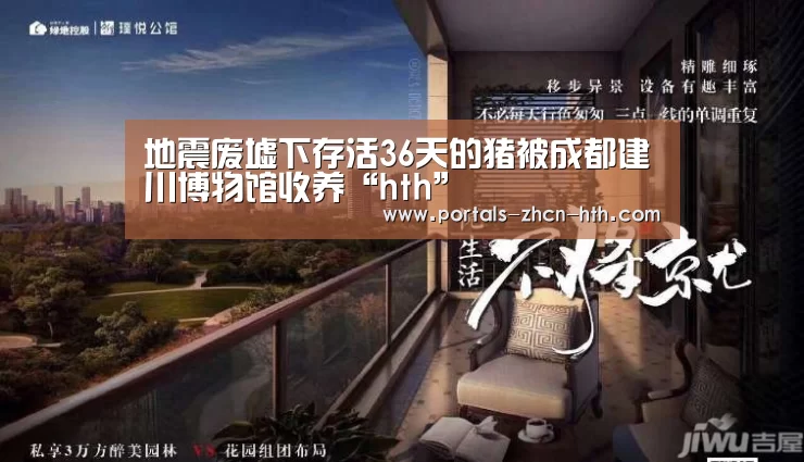地震废墟下存活36天的猪被成都建川博物馆收养“hth”(图4) 华体会app