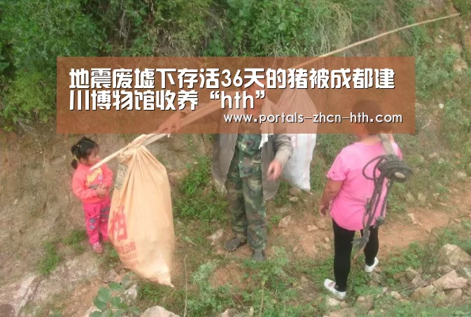 地震废墟下存活36天的猪被成都建川博物馆收养“hth”(图2) 华体会app