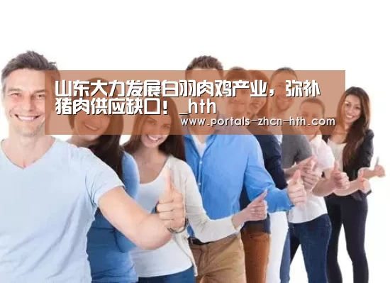 山东大力发展白羽肉鸡产业,弥补猪肉供应缺口!_hth(图3) 华体会