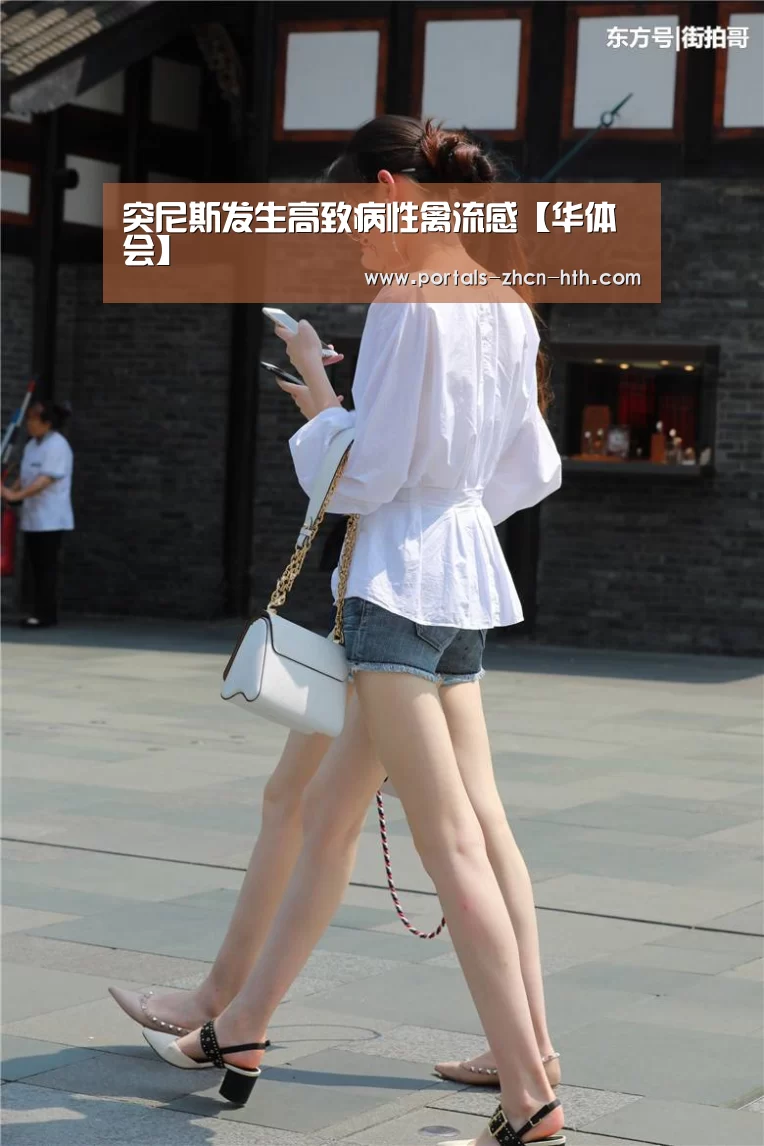 华体会